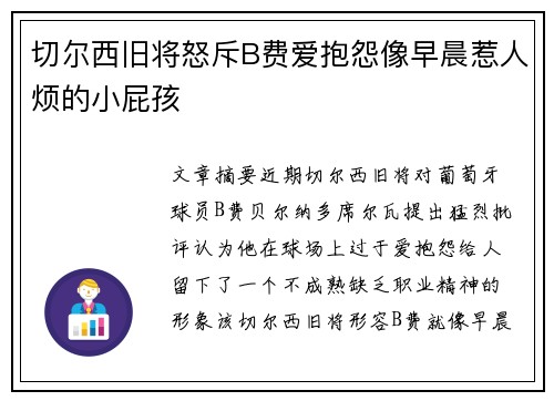 切尔西旧将怒斥B费爱抱怨像早晨惹人烦的小屁孩