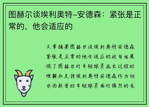 图赫尔谈埃利奥特-安德森：紧张是正常的，他会适应的